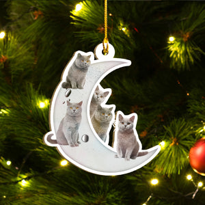 British Shorthair Cat Ornaments Set, Meowy Christmas Ornaments Set, Funny Xmas Ornaments Family Gift Idea For Cat Lover