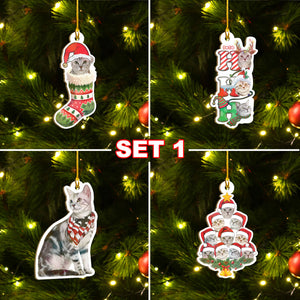 American Shorthair Cat Ornaments Set, Meowy Christmas Ornaments Set, Funny Xmas Ornaments Family Gift Idea For Cat Lover