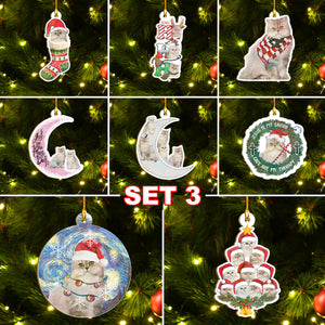 Persian Cat Ornaments Set, Meowy Christmas Ornaments Set, Funny Xmas Ornaments Family Gift Idea For Cat Lover